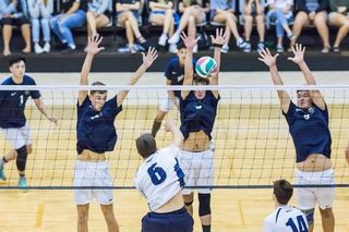 Fresh Faces Set to Hit the Volleyball Courts in Christchurch